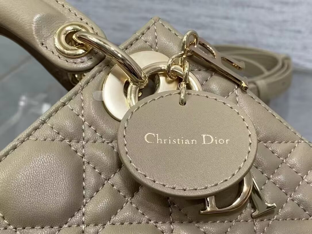 mini lady D*or bag 17x7x15cm