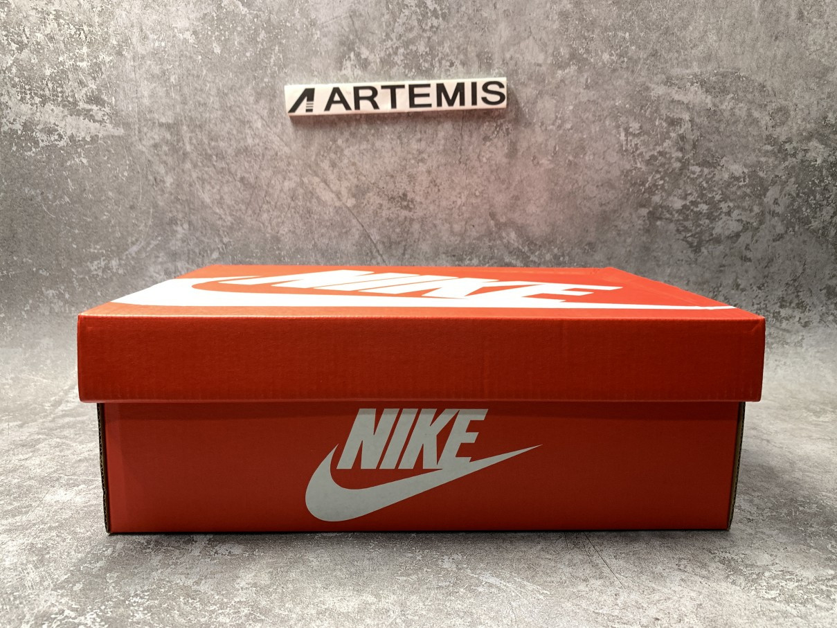 Nike Dunk Low Michigan