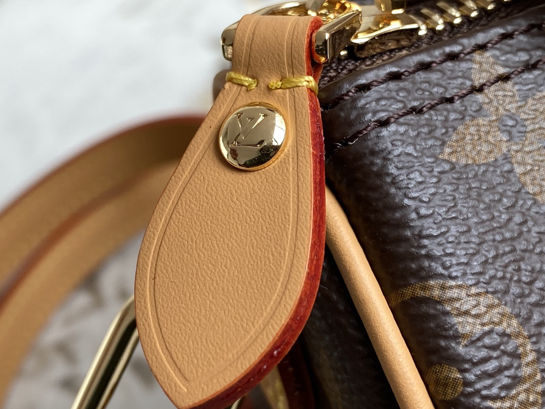 LV Speedy Nano M81085 16x10x7.5CM